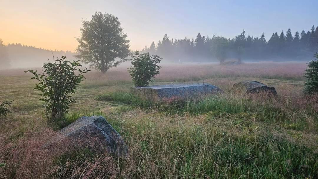 Ubytovani U Krizku Modrava Exterior foto